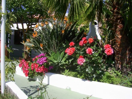  - Apartments to rent Ischia....